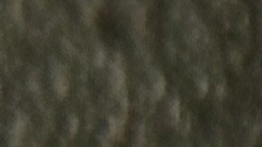 ¿Buscas grandes ahorros? Aprovecha ofertas irresistibles en Dollar General. Te enseñamos cómo reducir tus compras con cupones y combinaciones inteligentes.