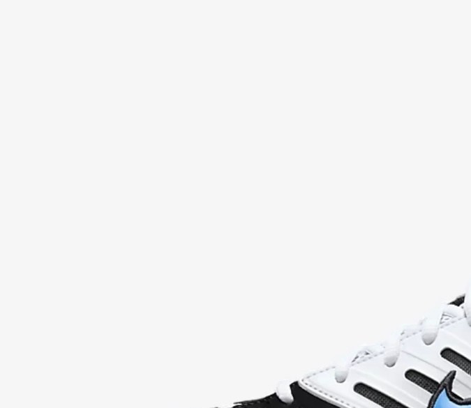 Nike Air Pegasus 2005