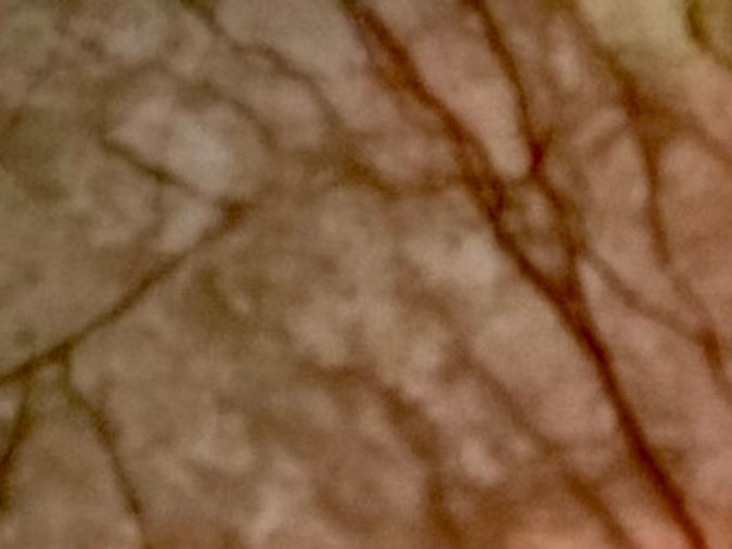 Amazon tiene acciones en las que podrás invertir este año.