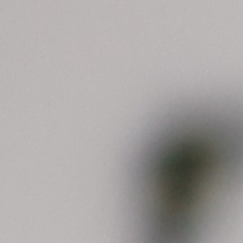 Los perfumes de calidad pueden encontrarse por menos de $50 dólares.