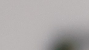 Los perfumes de calidad pueden encontrarse por menos de $50 dólares.