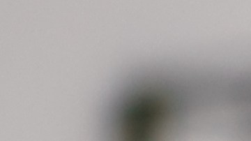 Los perfumes de calidad pueden encontrarse por menos de $50 dólares.