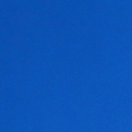 Adiclub es una de las estrategias más exitosas de Adidas.