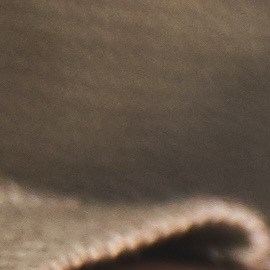 Algunos restaurantes de comida tendrán descuentos por el Día del Presidente.