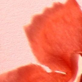 Encuentra el regalo ideal de San Valentín para tu novia con los descuentos de Macy's.