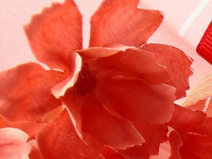 Encuentra el regalo ideal de San Valentín para tu novia con los descuentos de Macy's.