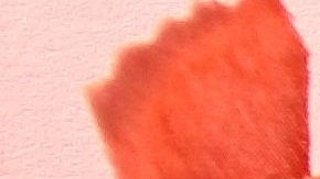 Encuentra el regalo ideal de San Valentín para tu novia con los descuentos de Macy's.