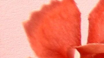 Encuentra el regalo ideal de San Valentín para tu novia con los descuentos de Macy's.