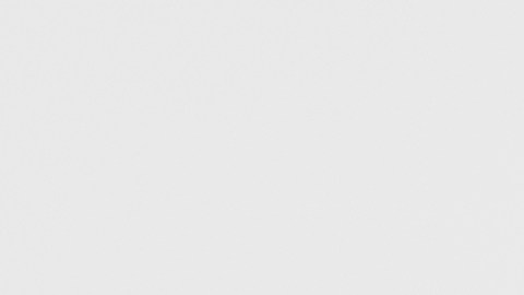 Cuida tu hogar y mejora la decoración al incluir nuevos productos.