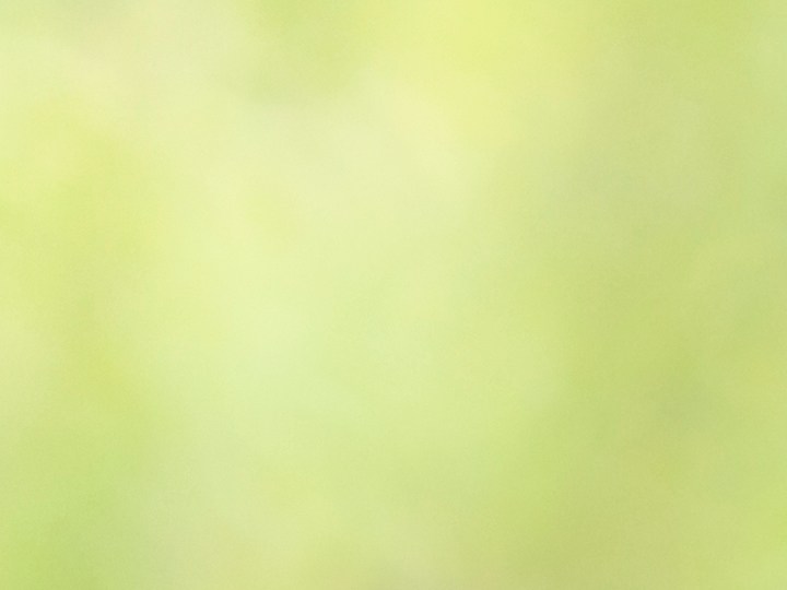 Adquiere ropa de Nike en descuento con las ofertas de Macy's.