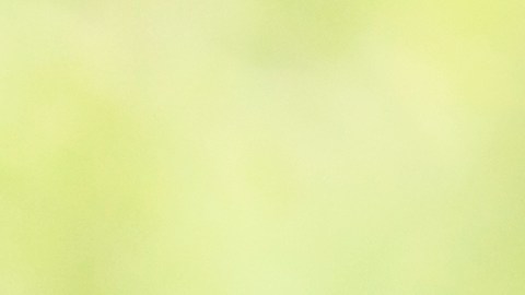 Adquiere ropa de Nike en descuento en su temporada de regreso a clases