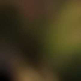 Lugares de comida rápida tendrán descuentos por el Día de San Patricio.