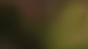 Lugares de comida rápida tendrán descuentos por el Día de San Patricio.