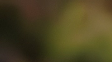 Lugares de comida rápida tendrán descuentos por el Día de San Patricio.