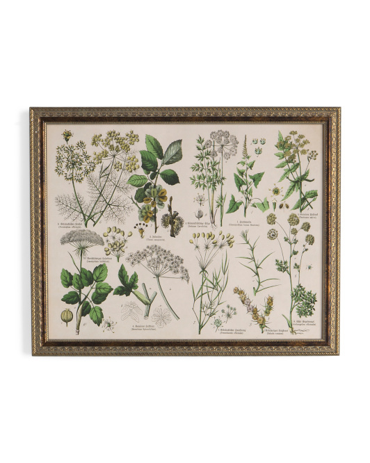 Kind Of Leaves Framed Wall Art de Marmont Hill Inc