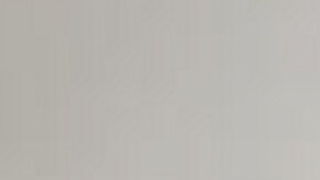 Consiente a tu mascota al comprarle un nuevo producto en Amazon.