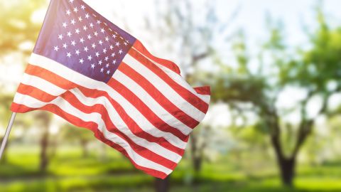 El Memorial Day es conmemorado por las tiendas con ofertas.