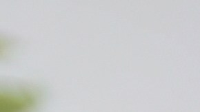 Mejora tus finanzas al tener una aplicación móvil sobre presupuestos mensuales.