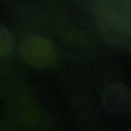 Aprovecha las rebajas que se presentarán el próximo feriado del 4 de julio.