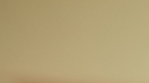 Las camisas para niños tienen descuento en Target por el regreso a clases.