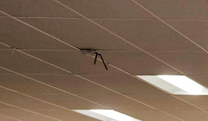 Encuentra nuevas marcas de vestir con descuento en Kohls.