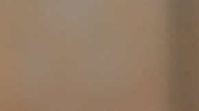 El Tax Free se hará presente en diferentes lugares de Estados Unidos este fin de semana.