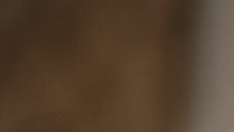 Usa la inteligencia artificial para ahorrar dinero en tu próximo viaje.