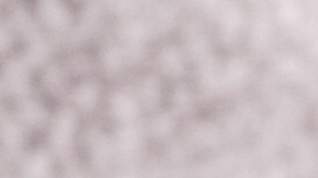 Los bolsos de Michael Kors tienen grandes descuentos en Macy's.