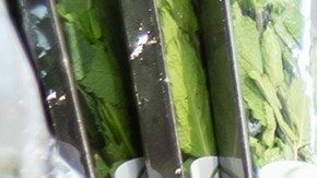 Algunos supermercados en Estados Unidos ofrecen promociones para jubilados.