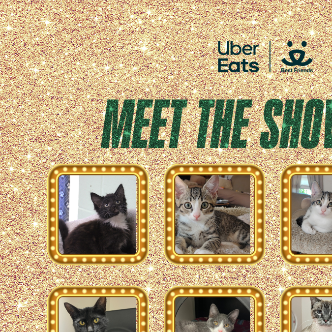 Todos los gastos en el evento de Uber estarán disponibles para ser adoptados.