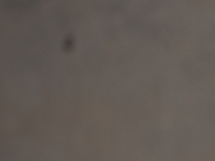 Ahorra dinero con los descuentos que Macy's tiene en abrigos.