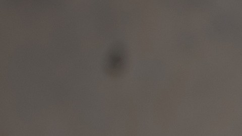 Ahorra dinero con los descuentos que Macy's tiene en abrigos.