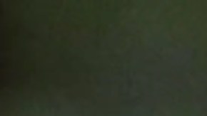 Realiza compras inteligentes para decorar tu hogar en Halloween.