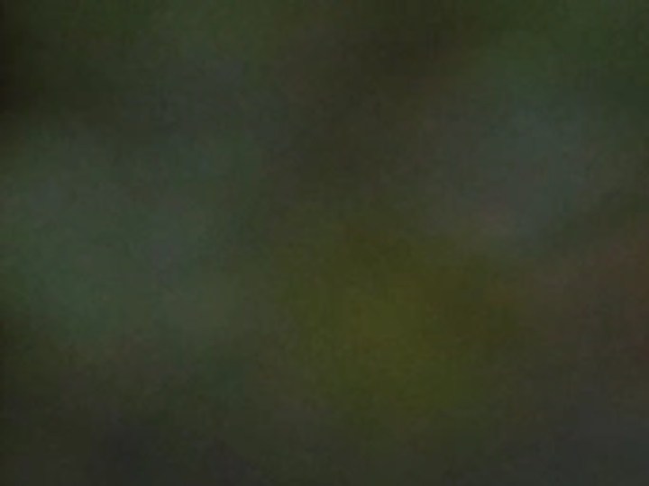 Realiza compras inteligentes para decorar tu hogar en Halloween.