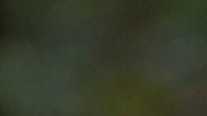 Realiza compras inteligentes para decorar tu hogar en Halloween.