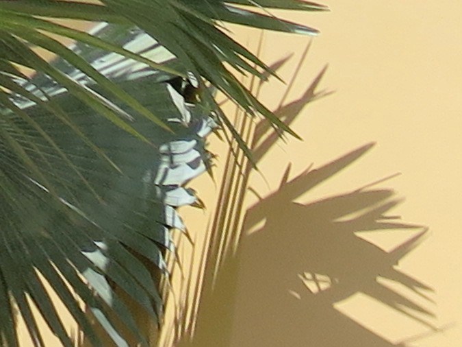 Sawgrass Mills es uno de los centros de outlets que puedes visitar. 