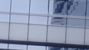 Uber organiza un gran evento para impulsar la adopción.