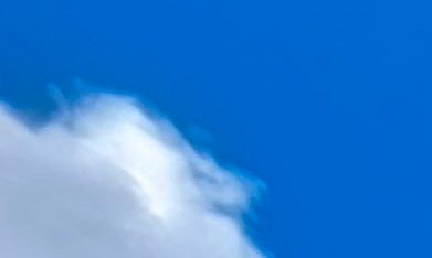 Walmart tendrá grandes descuentos durante el Black Friday.