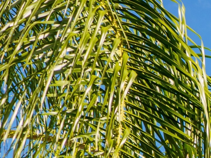 La sección open‑box ofrece artículos devueltos y revisados por Geek Squad con descuentos de hasta el 60% en refrigeradores, televisores y wearables