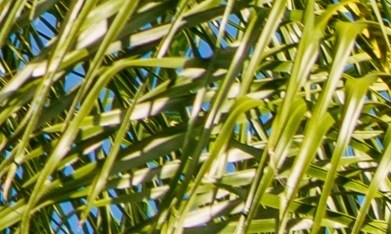 La sección open‑box ofrece artículos devueltos y revisados por Geek Squad con descuentos de hasta el 60% en refrigeradores, televisores y wearables