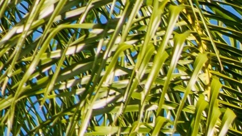 La sección open‑box ofrece artículos devueltos y revisados por Geek Squad con descuentos de hasta el 60% en refrigeradores, televisores y wearables