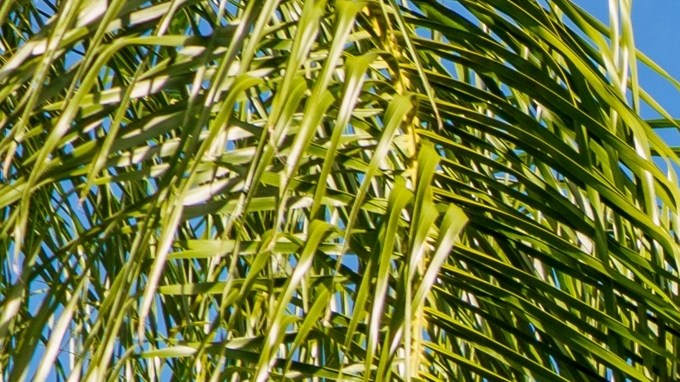 La sección open‑box ofrece artículos devueltos y revisados por Geek Squad con descuentos de hasta el 60% en refrigeradores, televisores y wearables