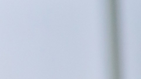 Aprovecha los descuentos en Black Friday de forma inteligente.