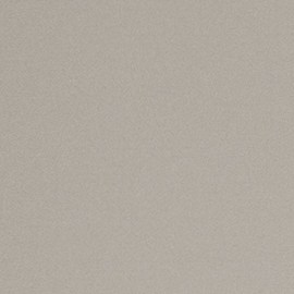 El Cyber Monday deja de ser una prioridad para algunos estadounidenses.