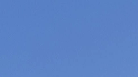 El día de los Veteranos es para que los militares se sientan honrados.