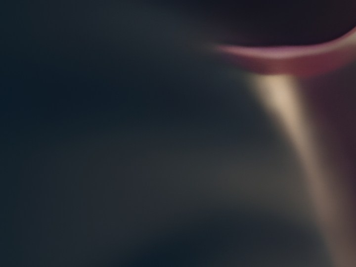 El cyber monday es uno de los eventos de compra más esperados del año.