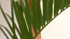 Macy's tiene entre 20% y 60% de descuento en ropa para Navidad.