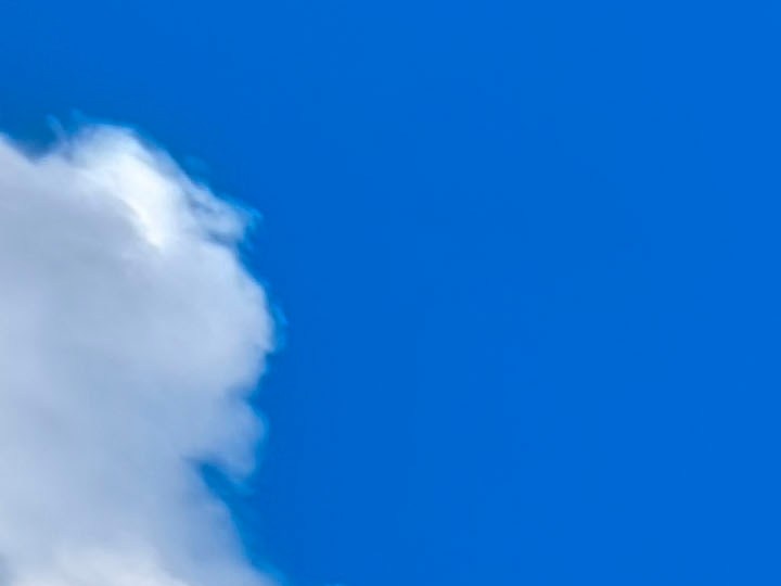 Algunos supermercados abrirán sus puertas este 1 de enero para recibir a los consumidores.