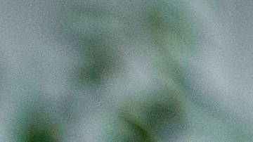 Ahorrar dinero requiere de fuertes medidas para la Generación Z.