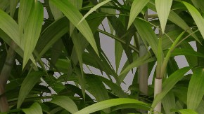 Ahorra dinero en la compra de artículos para el baño con las ofertas en Target.